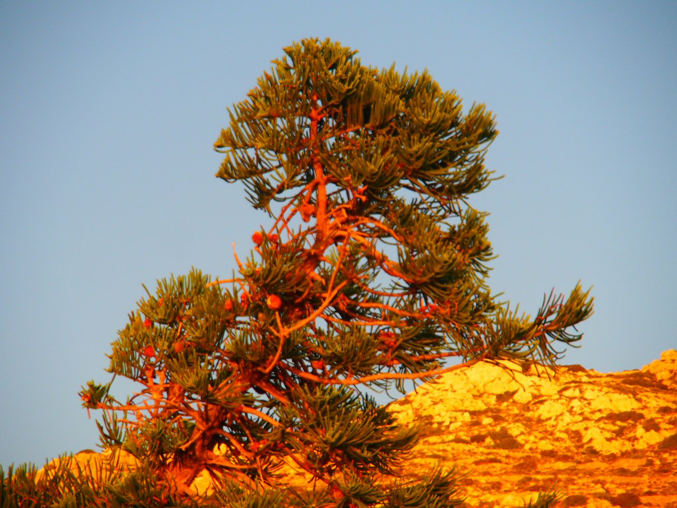 20251017 karpathos 170865