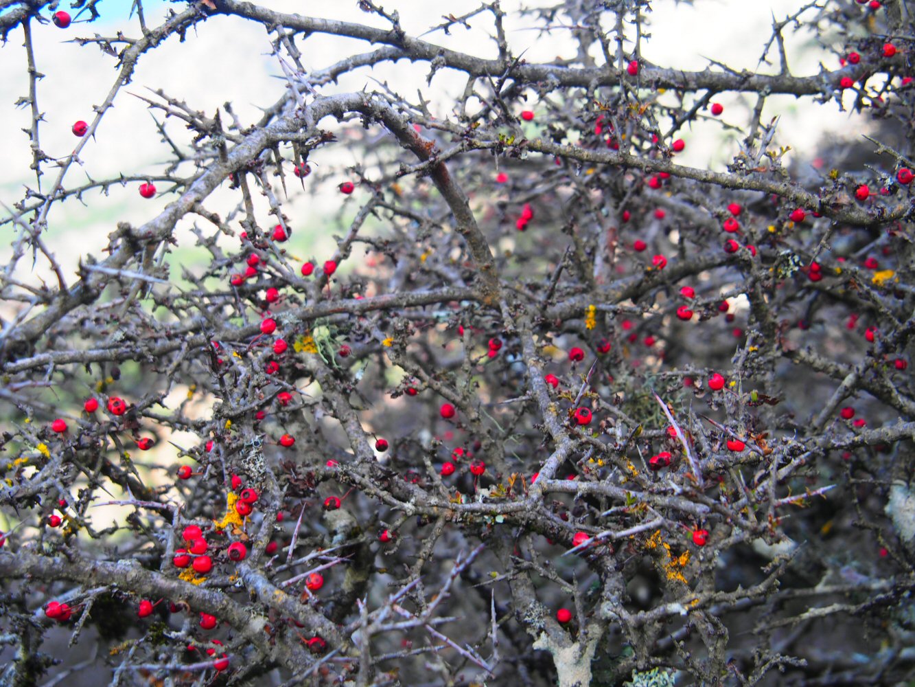 20251018 karpathos 180915