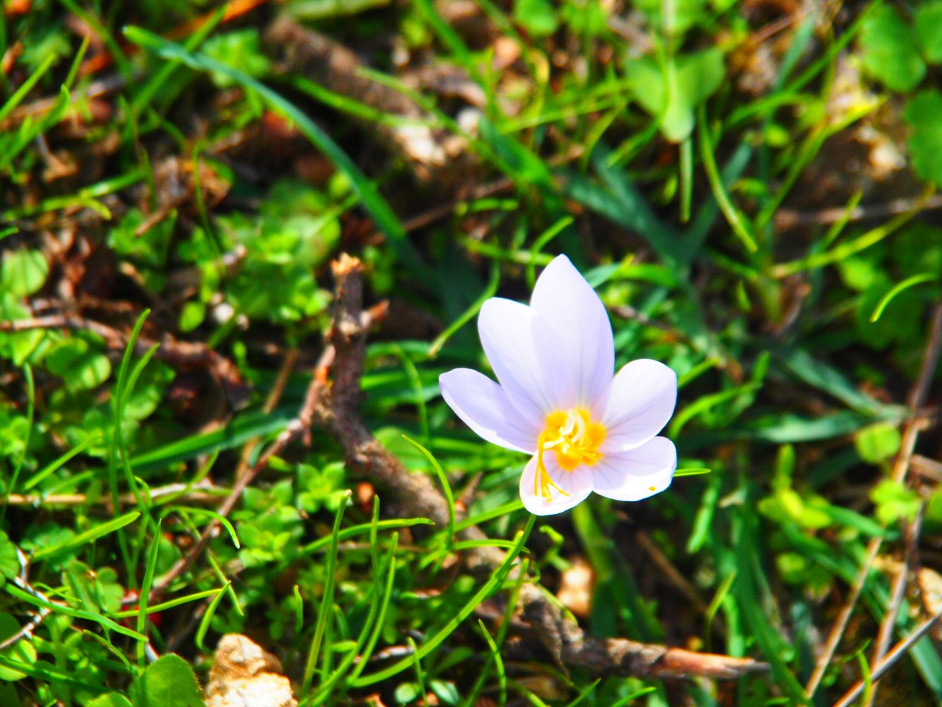 20251018 karpathos 180917