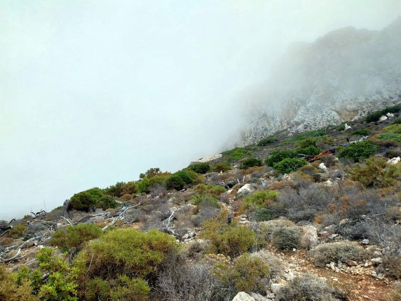 20251022 karpathos PJ 101505