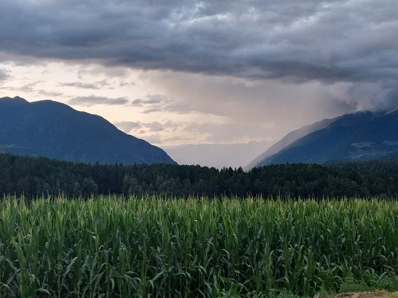 SCUOL KRK 0049 20250721 205438