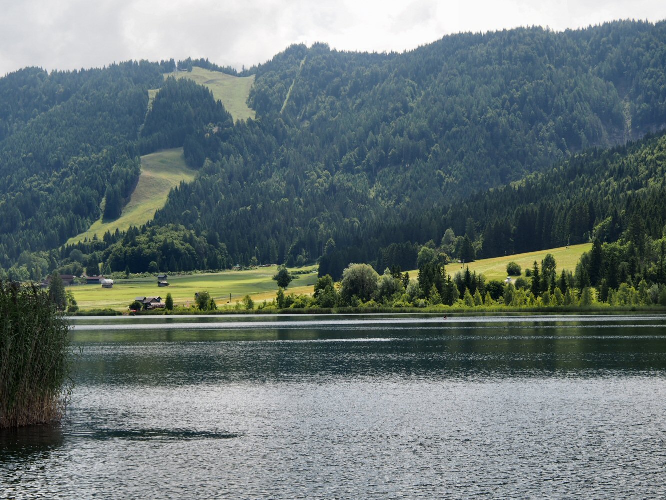 SCUOL KRK 0066 P7230152