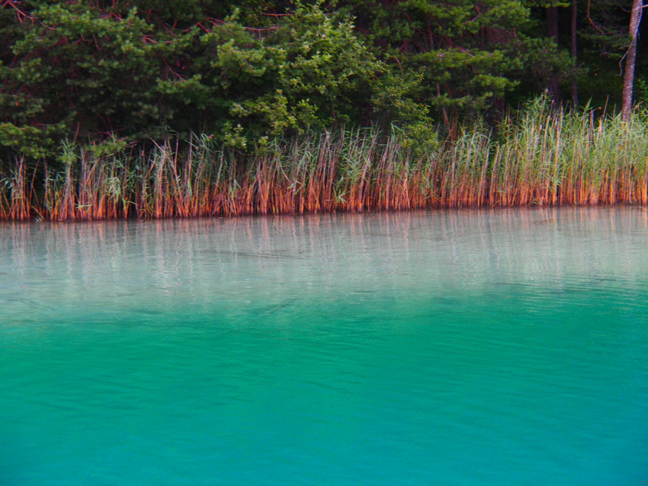 SCUOL KRK 0073 P7230175