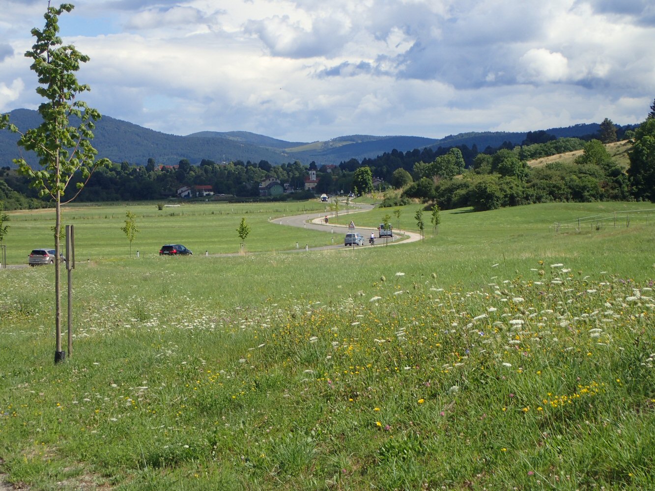 SCUOL KRK 0156 P7270099