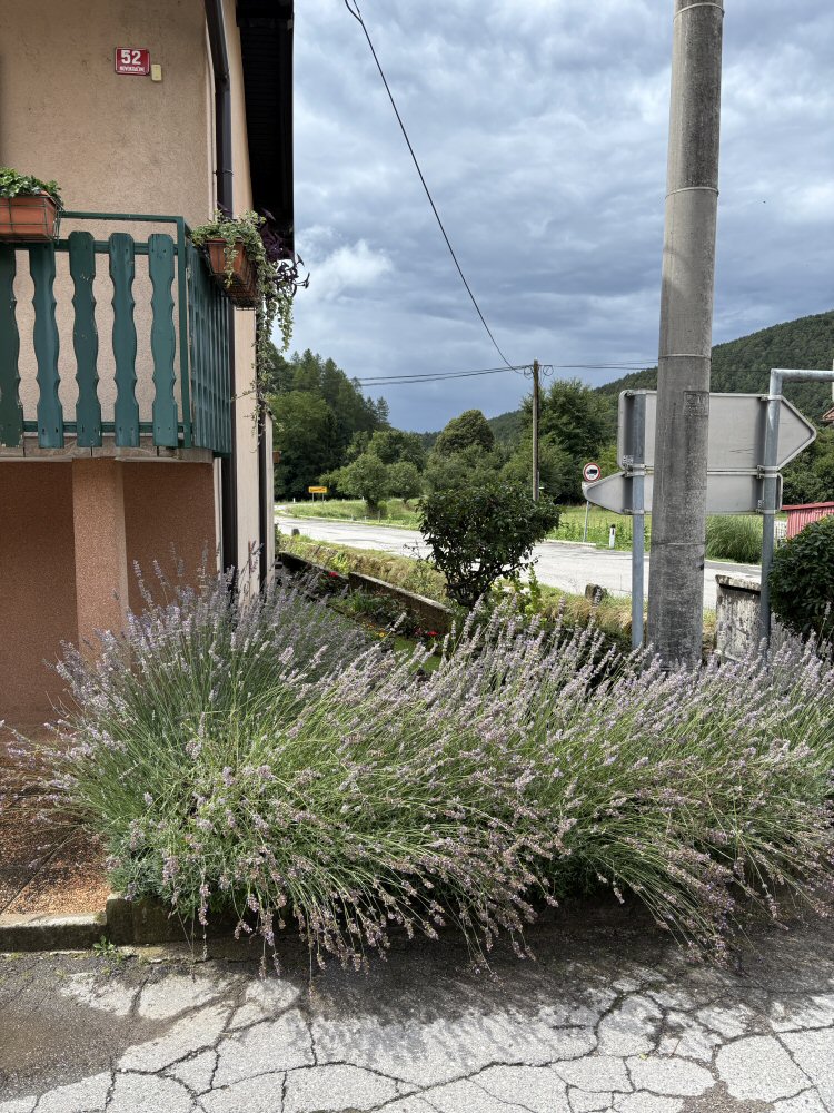 SCUOL KRK 0159b IMG 8865