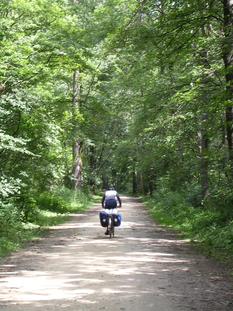 Donauradweg 0413