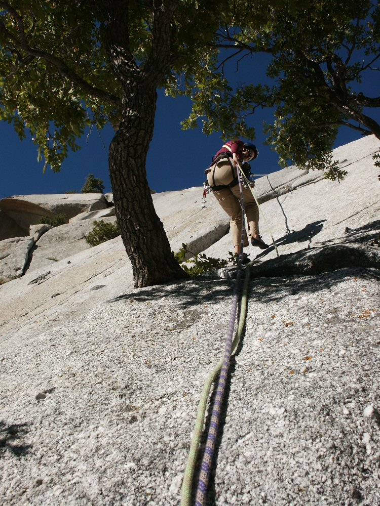 01 cottonwood 01 0025