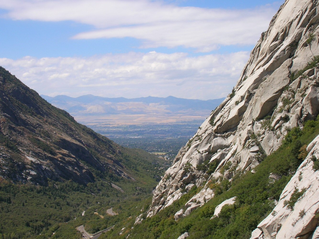 01 cottonwood 01 0049