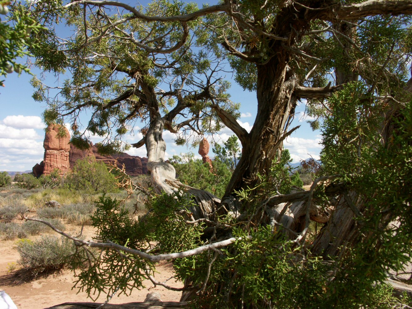 04 canyonland 02 0026