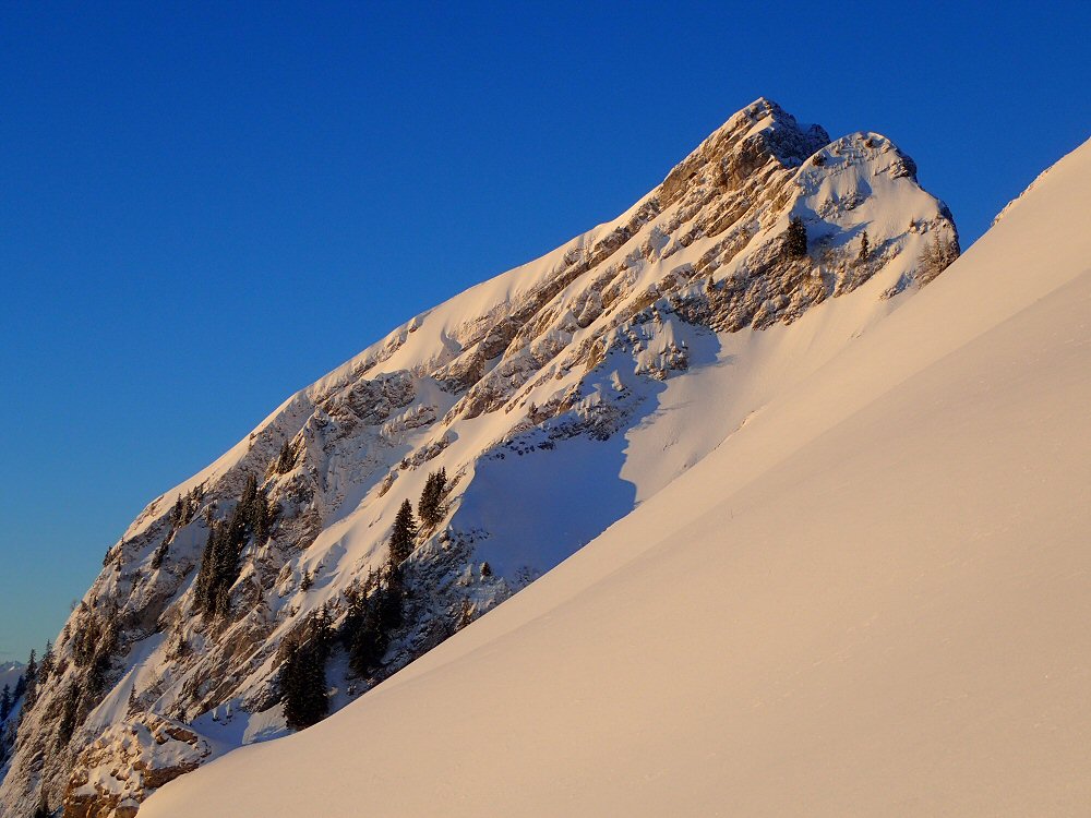 20190312 folliuborna