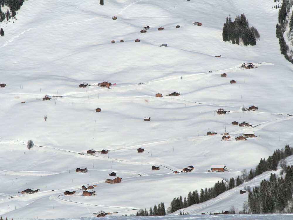 20210124 lenk