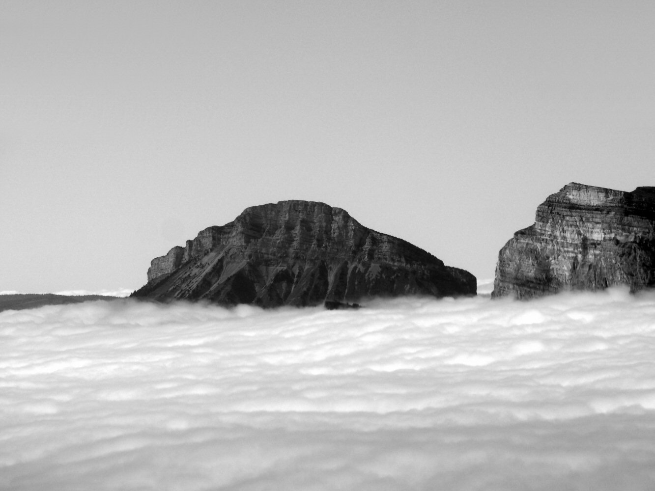 20241005 VACE VDLA FR VJ 1010098nb