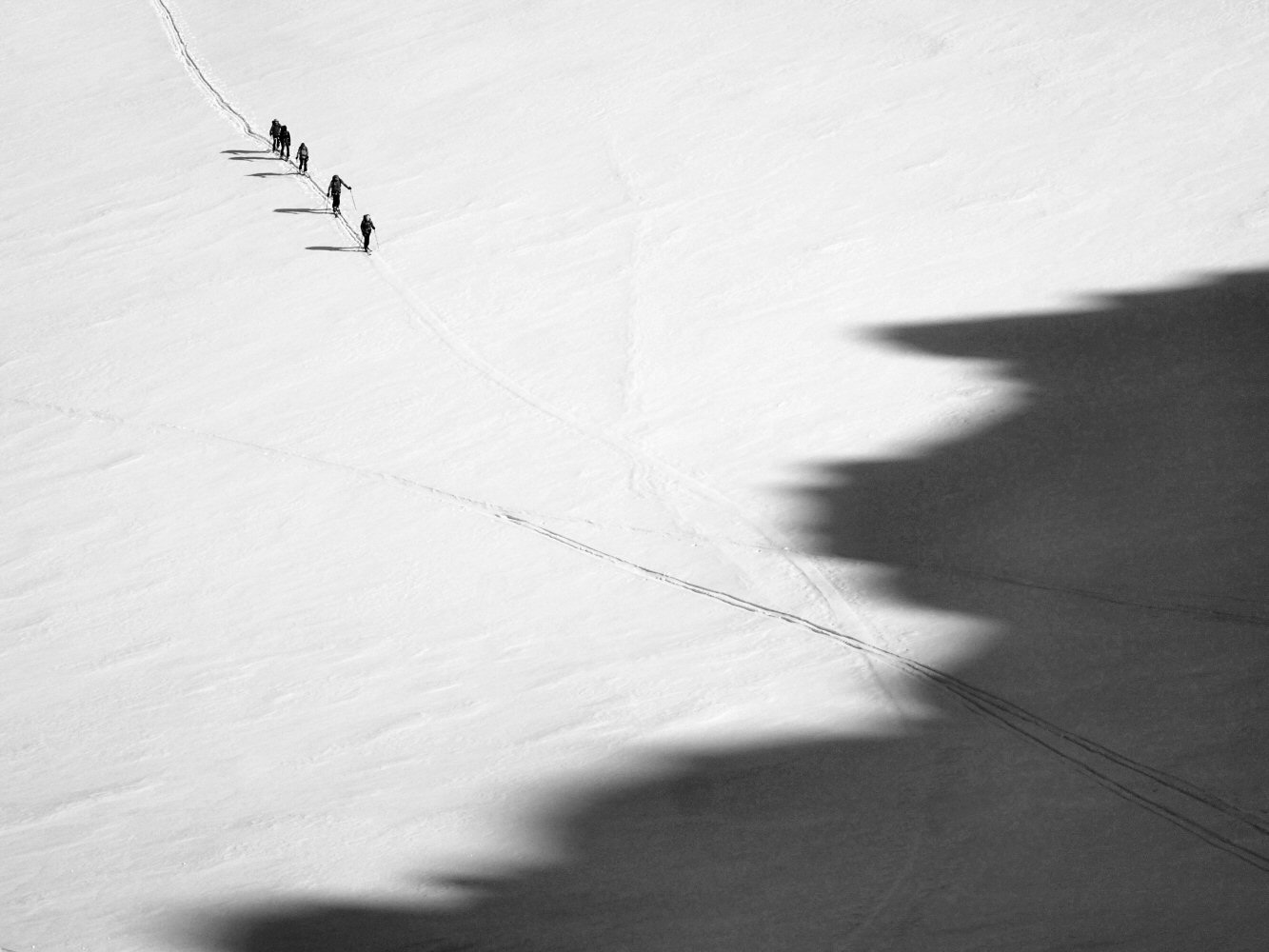 20250216 silvretta46nb