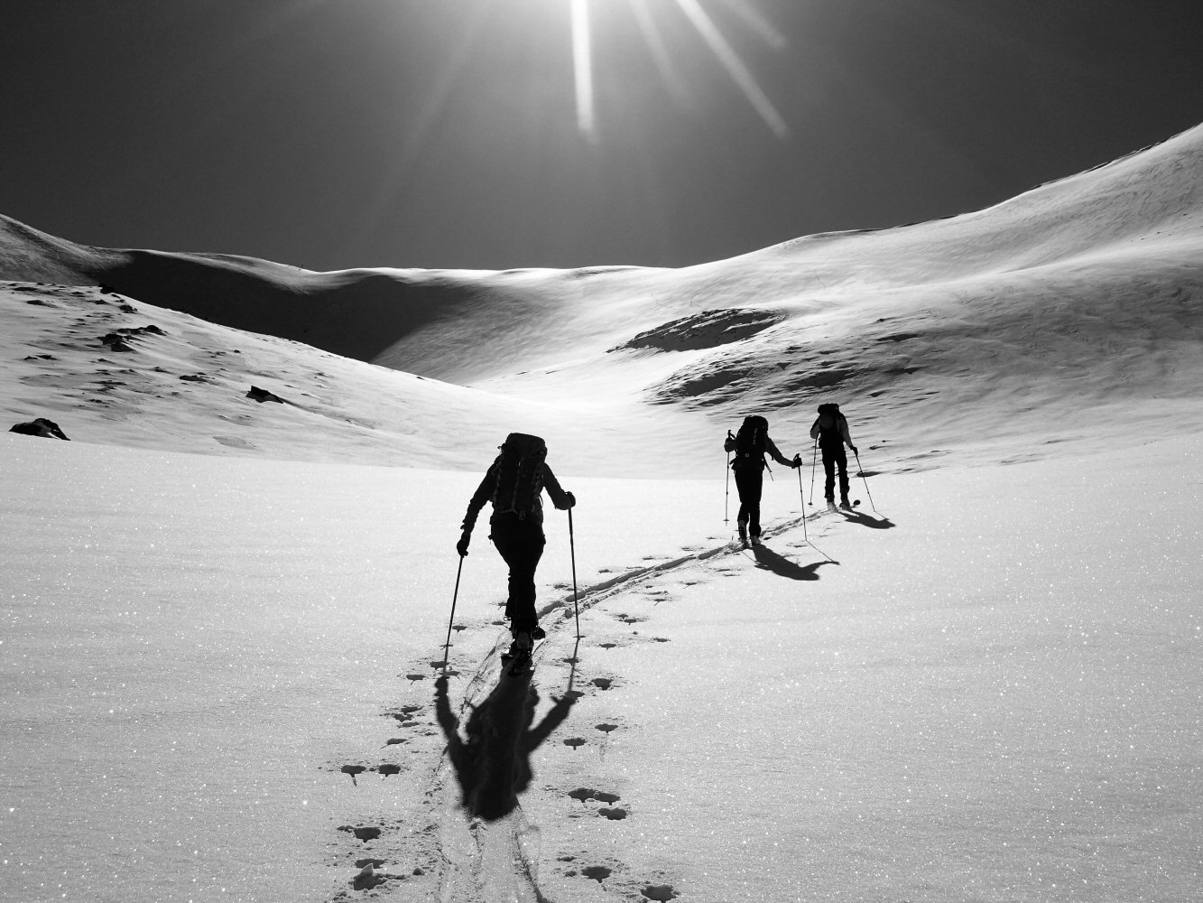 20250302 lauenenhore28nb