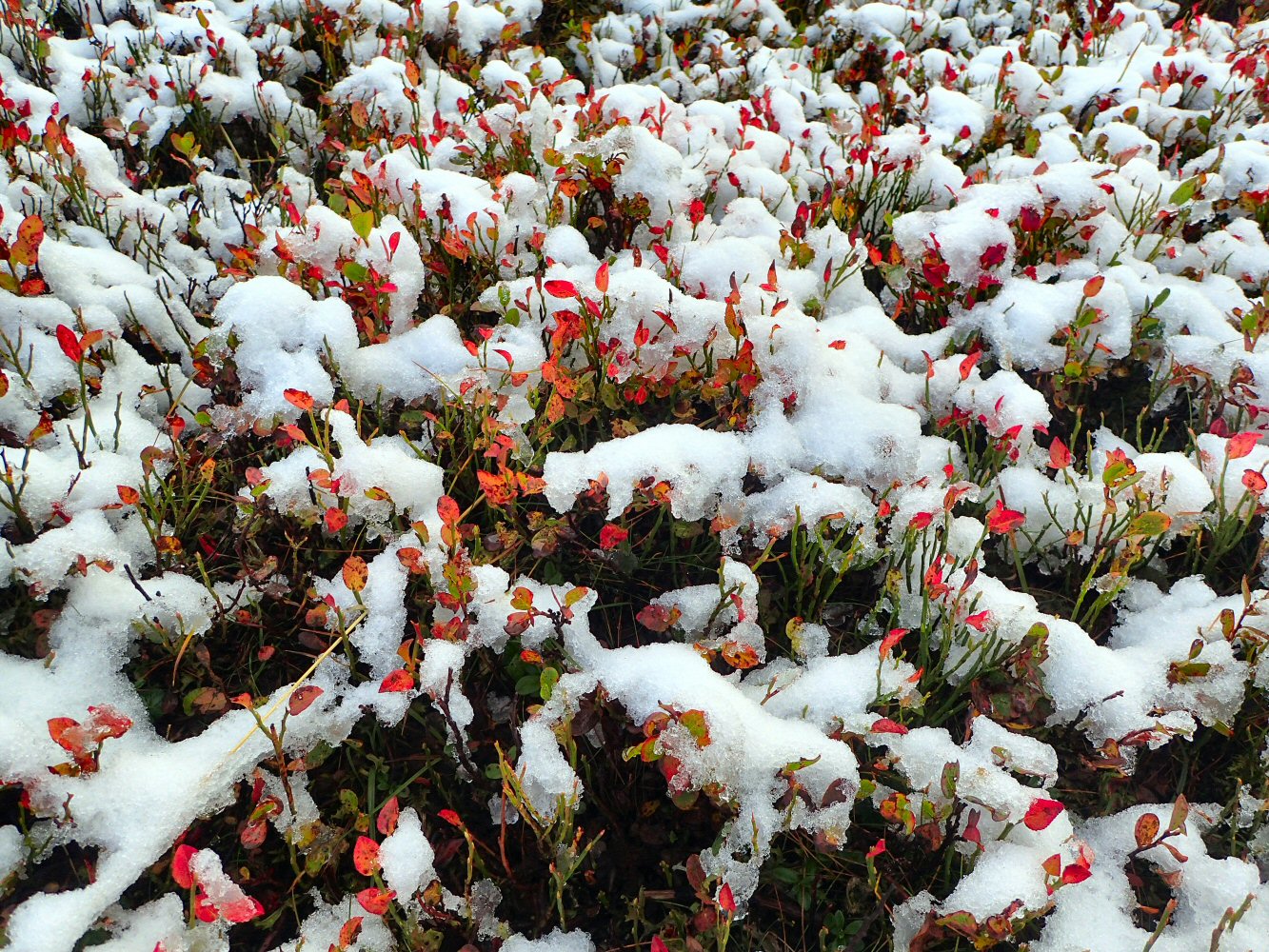 20250925 valerette05