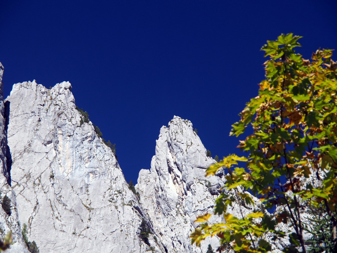 20250928 glattewand19