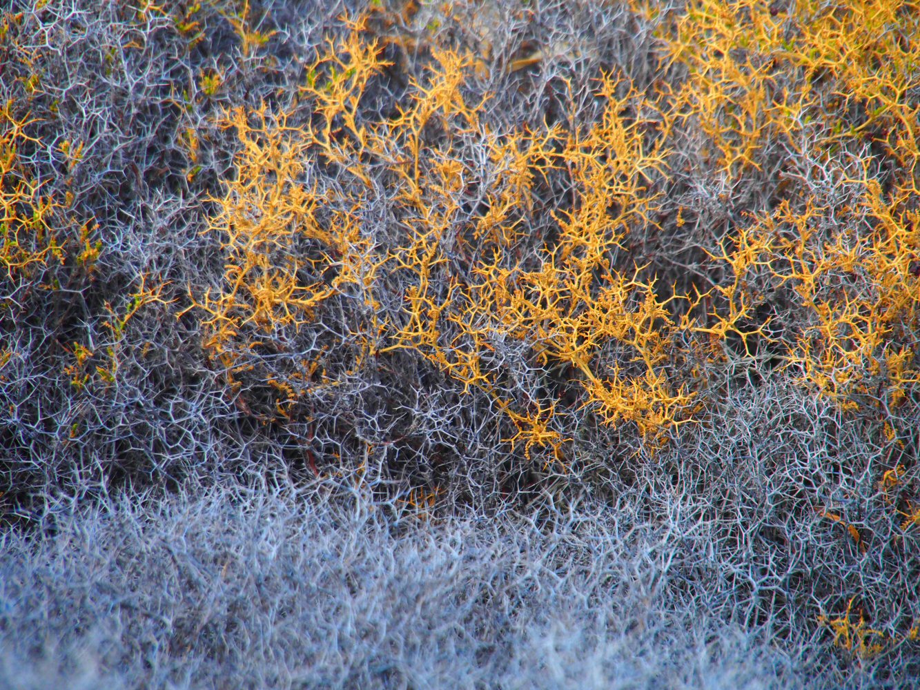 20251015 karpathos 150697