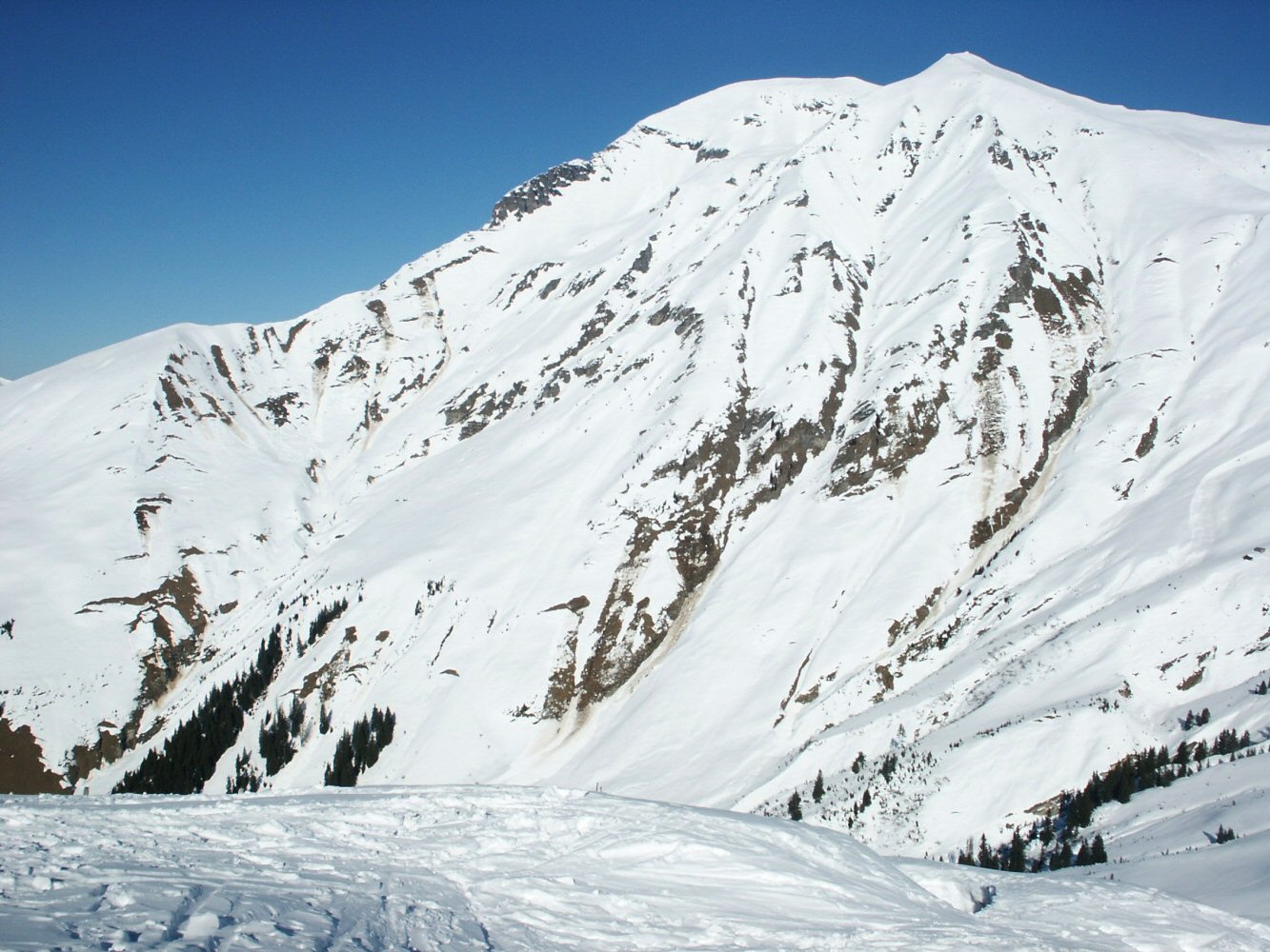 Albraisthorn - Chathore