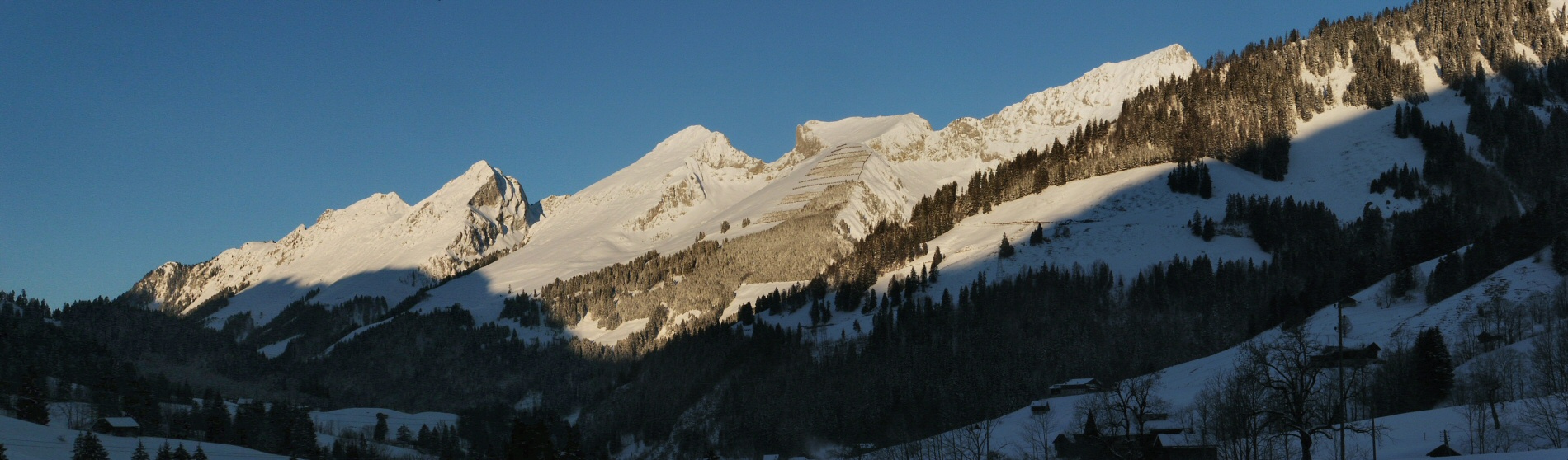 Pano grosbrun