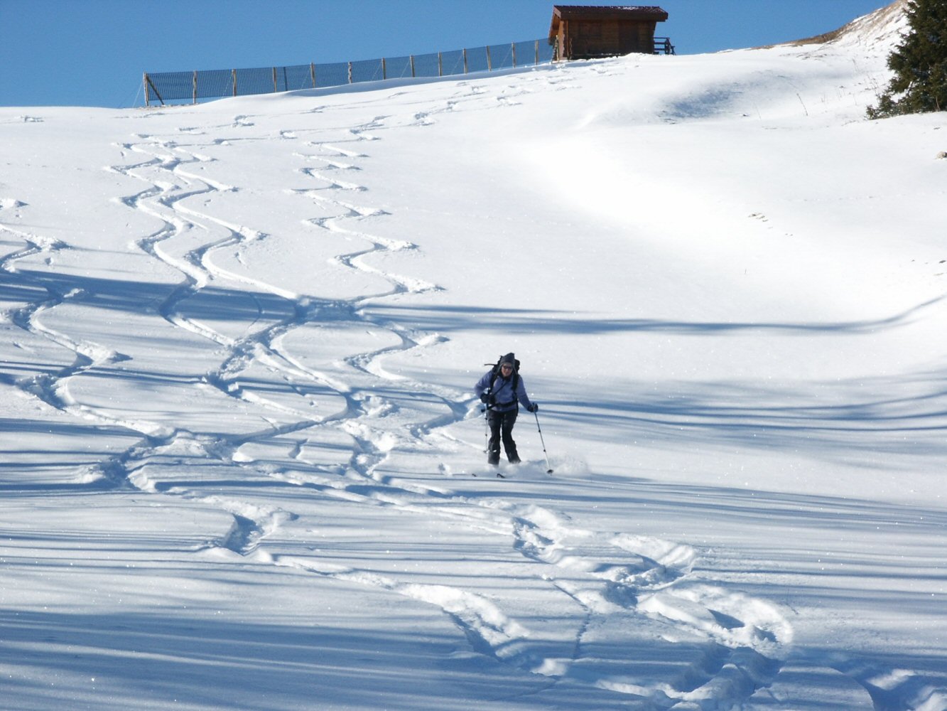 Trictotage au Morond