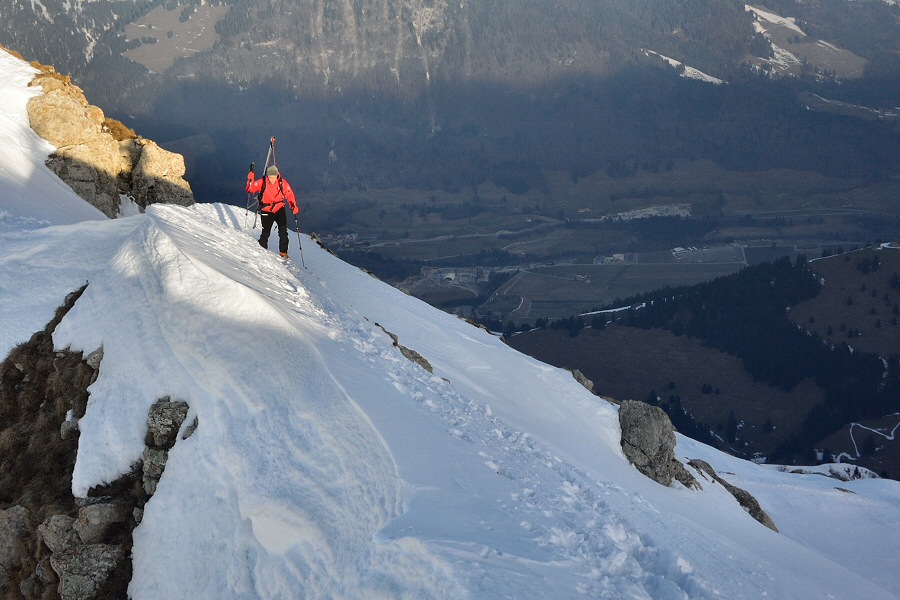 16865225632 3be1cd224c o