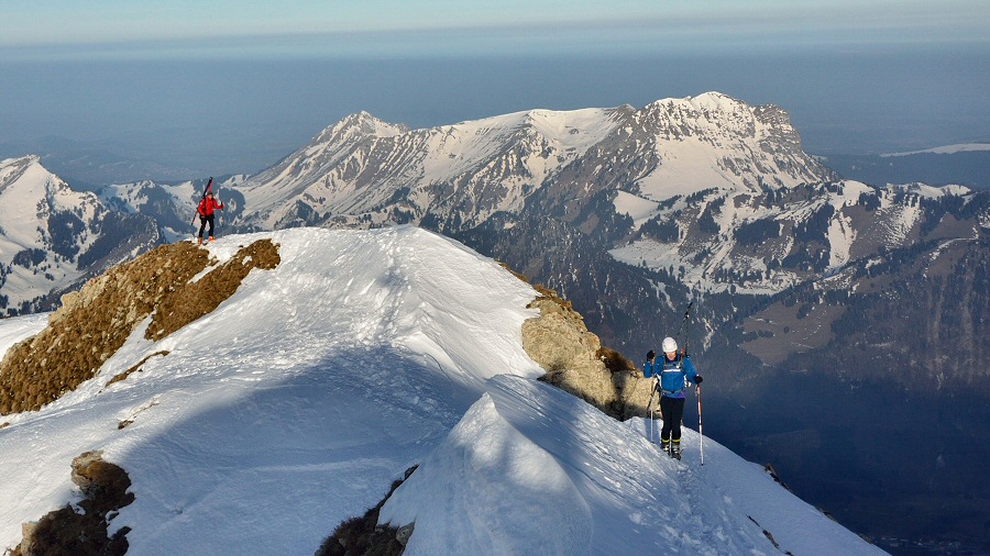 16866384945 efb4907610 o