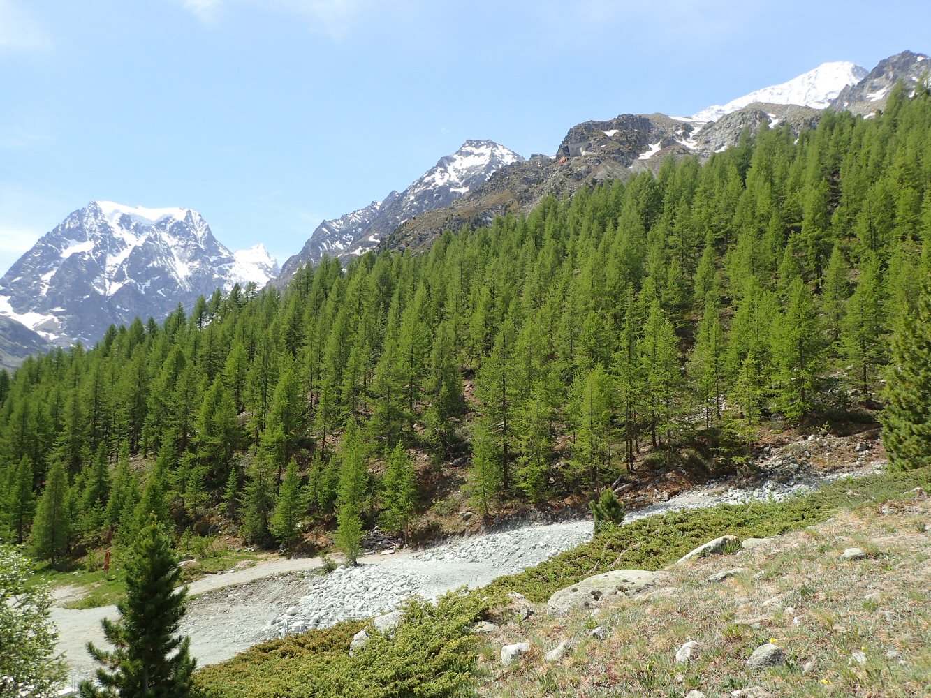 20260607 pigne arolla 6070022